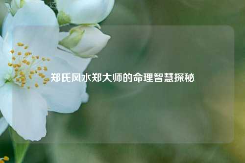 郑氏风水郑大师的命理智慧探秘