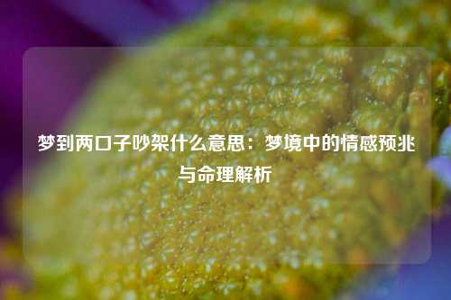 梦到两口子吵架什么意思：梦境中的情感预兆与命理解析